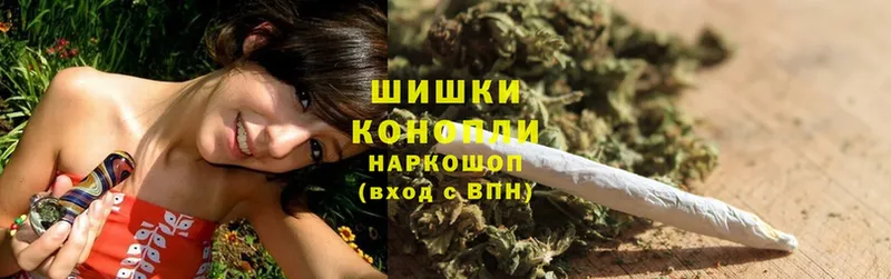 Каннабис SATIVA & INDICA  где купить   Каргополь 